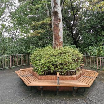 おとめ山