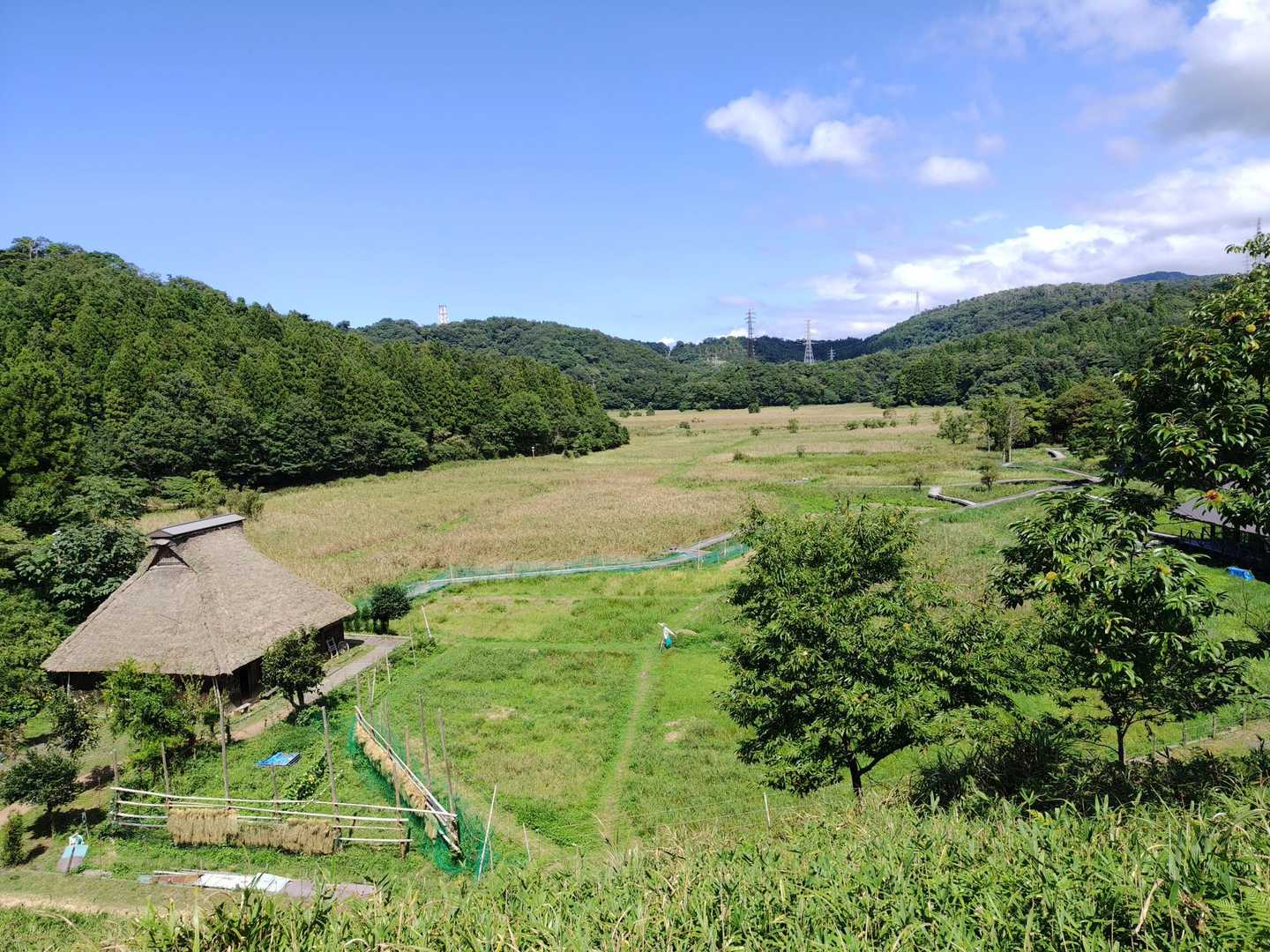 わくわく山から