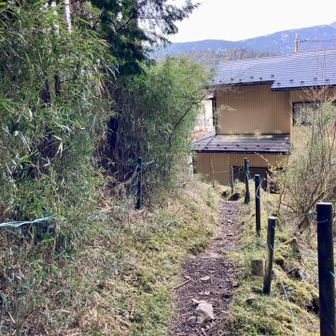 住宅が見えてきて、