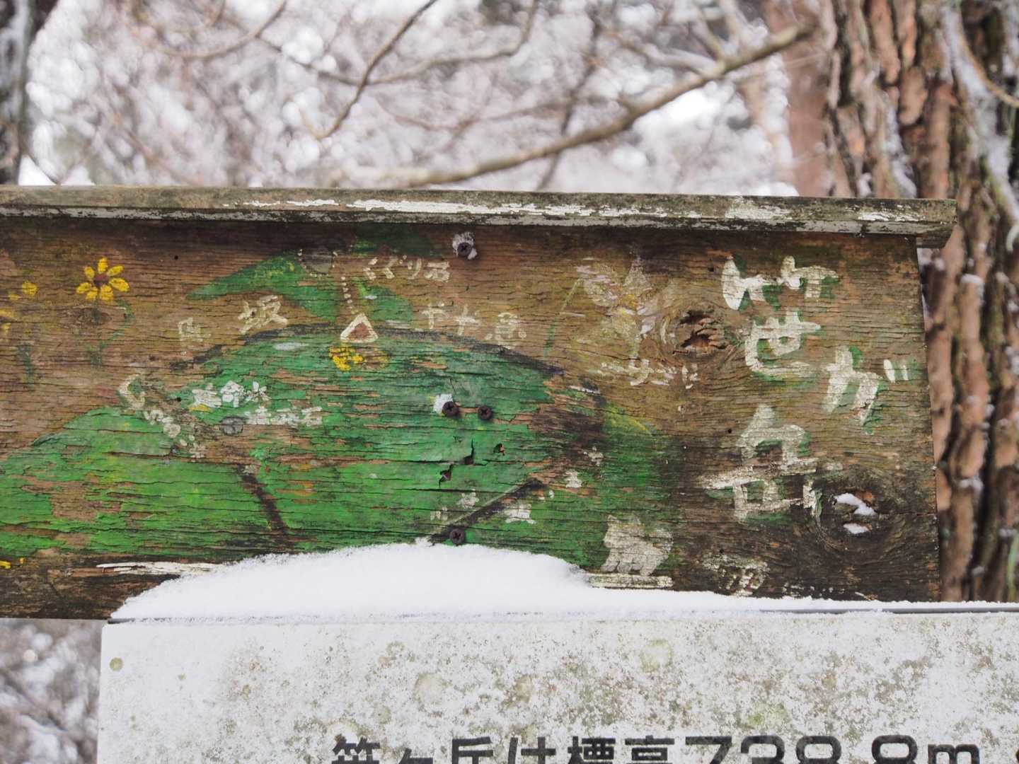 登頂🙌　信楽で一番高い笹ヶ岳
