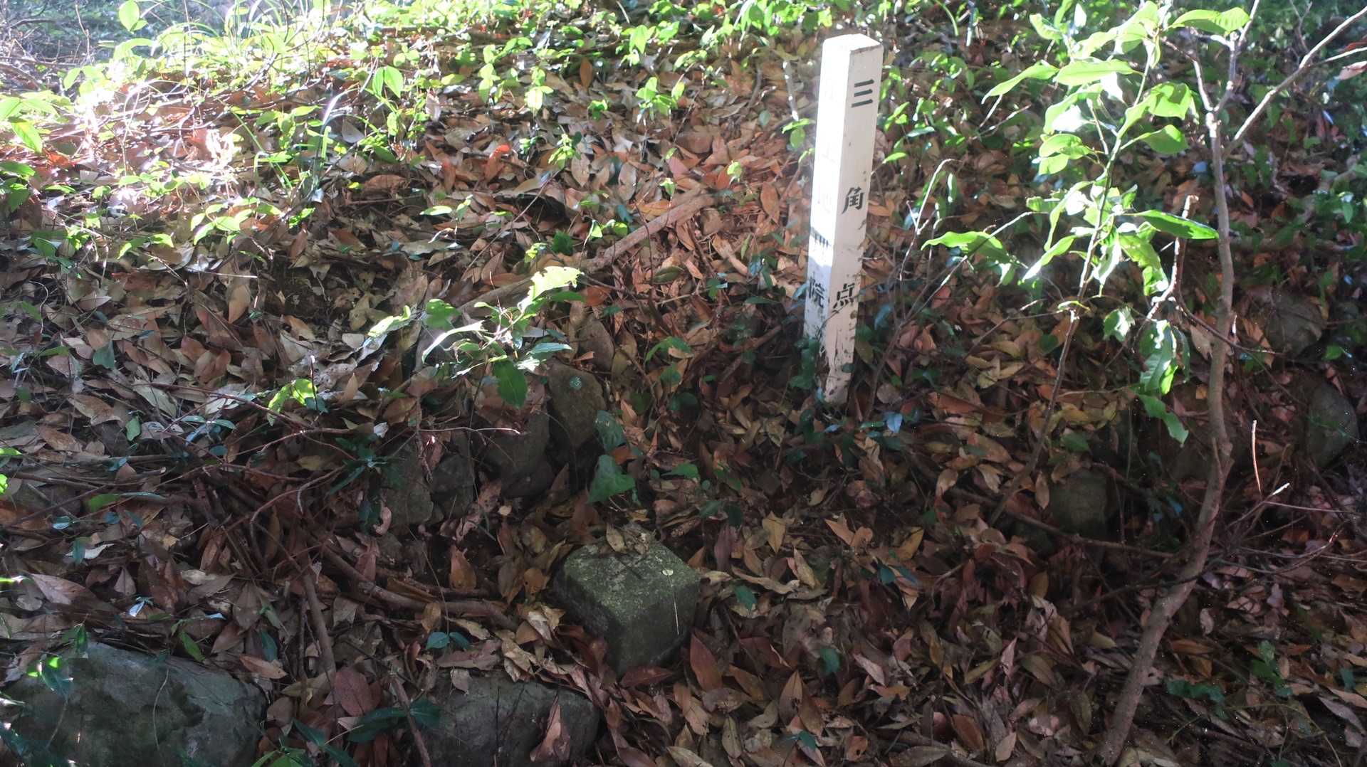大島山三角点