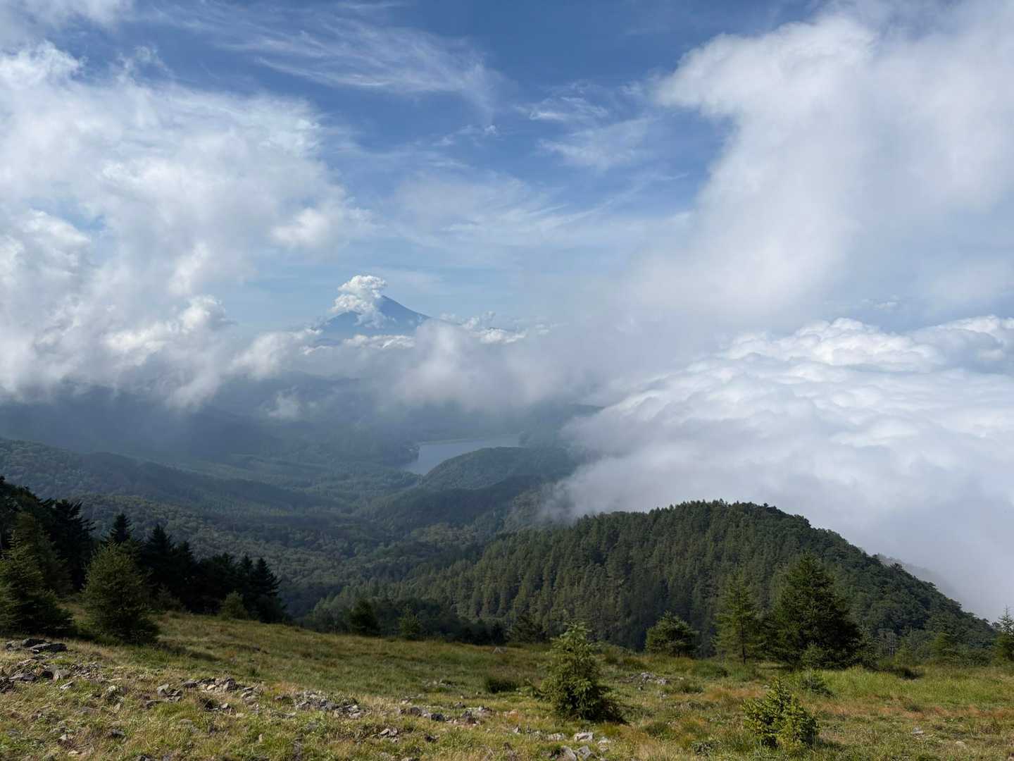 上日川峠-大菩薩嶺-天狗棚山-牛奥ノ雁ヶ腹摺山 周回コースの写真