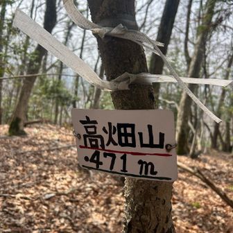 写真撮る気力なく低山ながら急登💦