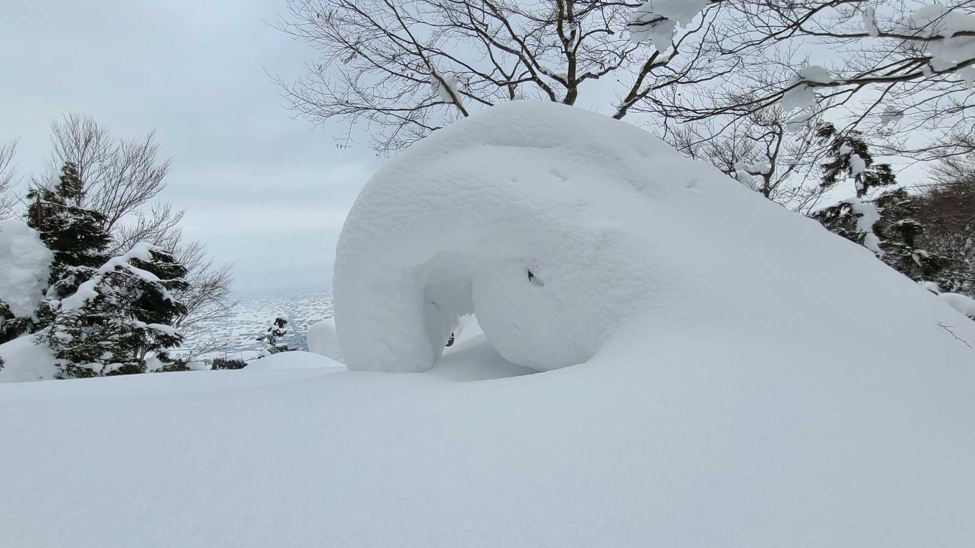 大寺山で
雪のオブヂェ