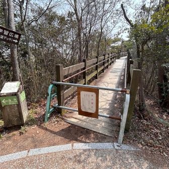 展望デッキは通行止めでした😢