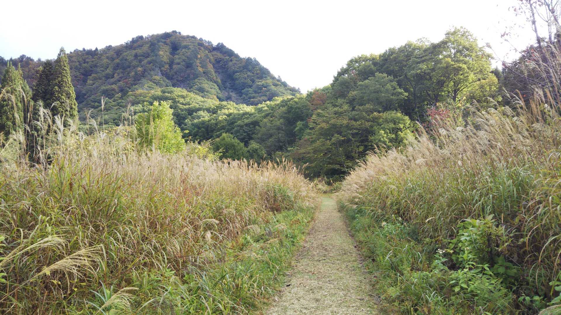 正面が唐倉山