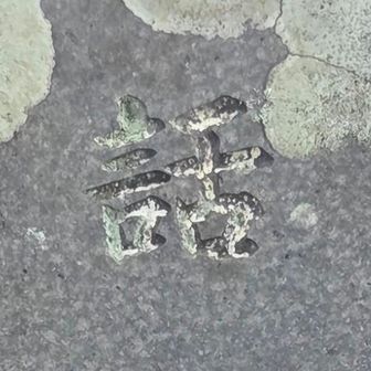 【世話人】
今日の🐢の世話人は
chieさん！！
