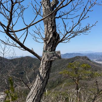 あいの山(まま)にわがままに　僕は君だけを傷つけない
お後がよろしいようで