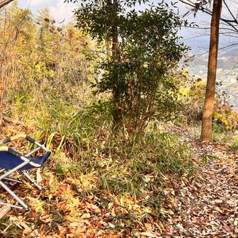 その先にリクライニングチェア
良いロケーションなのでここでも少しのんびり