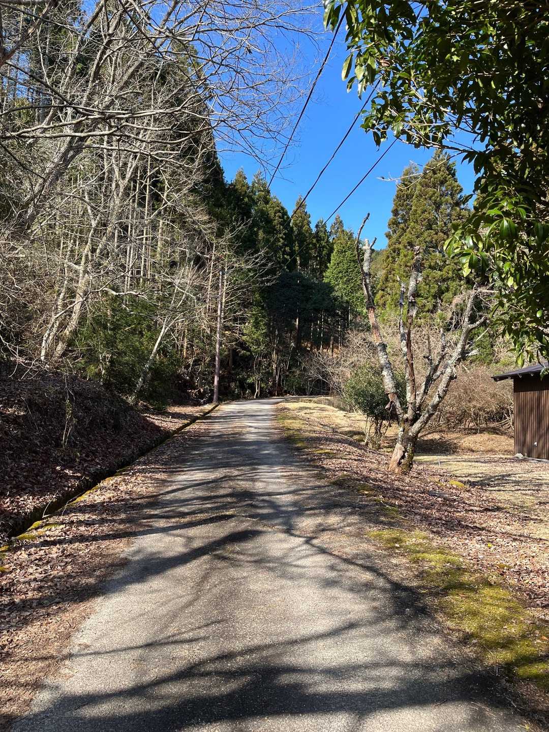 此処から境内に向かいます！
天気最高の登山日和です☝️