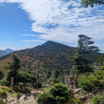いったん弥山下って、そこから見上げる八経ヶ岳！