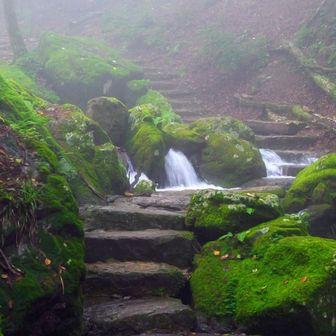 水量が多くて、敷石に水がかぶっている所が数カ所あった。
スニーカーの人がいたけど大丈夫だったのかな。