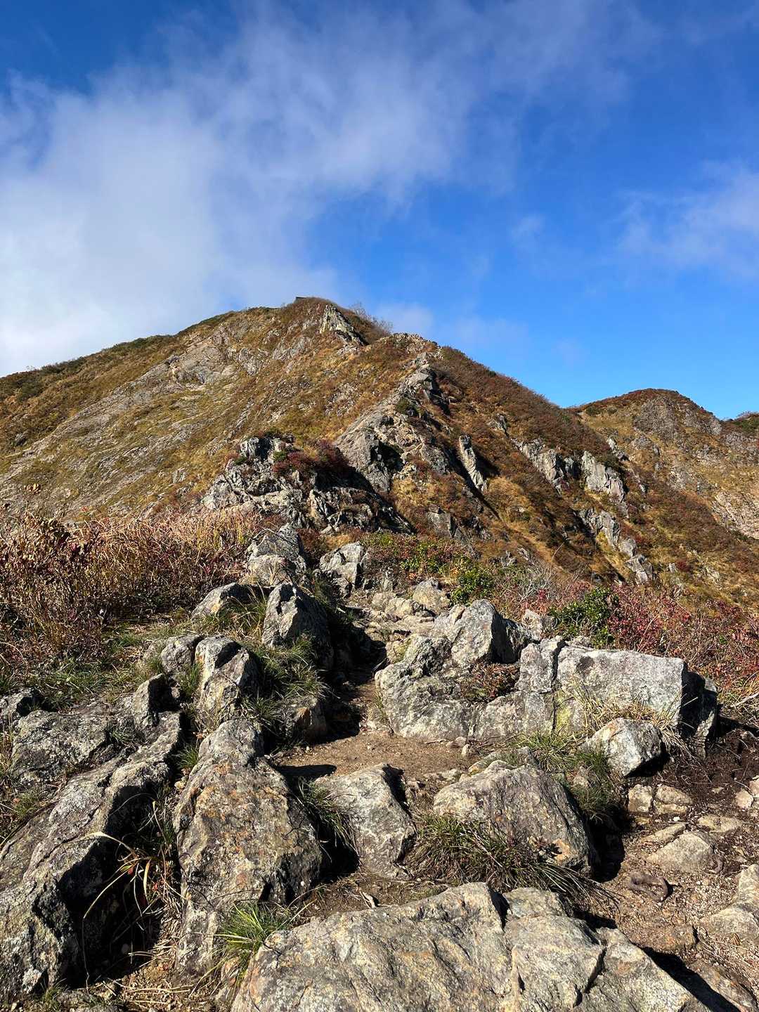 途中まで行けたのですが
岩場経験がほぼ無く、強風に
煽られながらは無理と判断しました
怖かったです