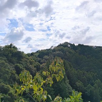 尾根の向いは六道輪廻ヶ岳
今日はモトクロス場が休みなのかいつも喧しいバイク音が聞こえません。