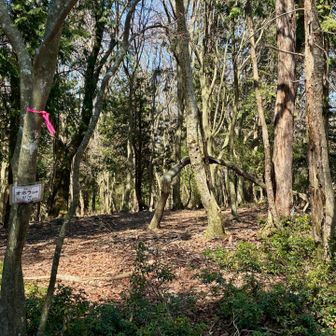 山頂は広々していて、気持ちいいです。