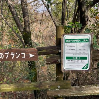 お目当ての星のブランコ🌟