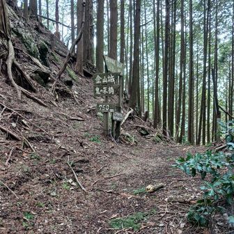 金山を後にして鐘ヶ坂峠に
ここからは初めてです
