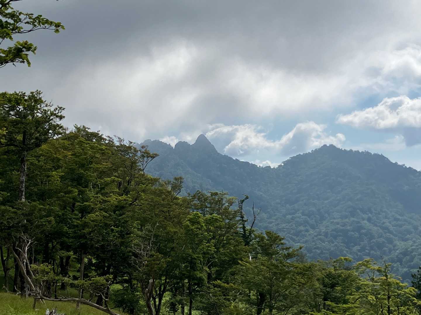 大日岳　とんがりが目立つ　素敵だけどあそこまでは私は行けないかも💦😅　