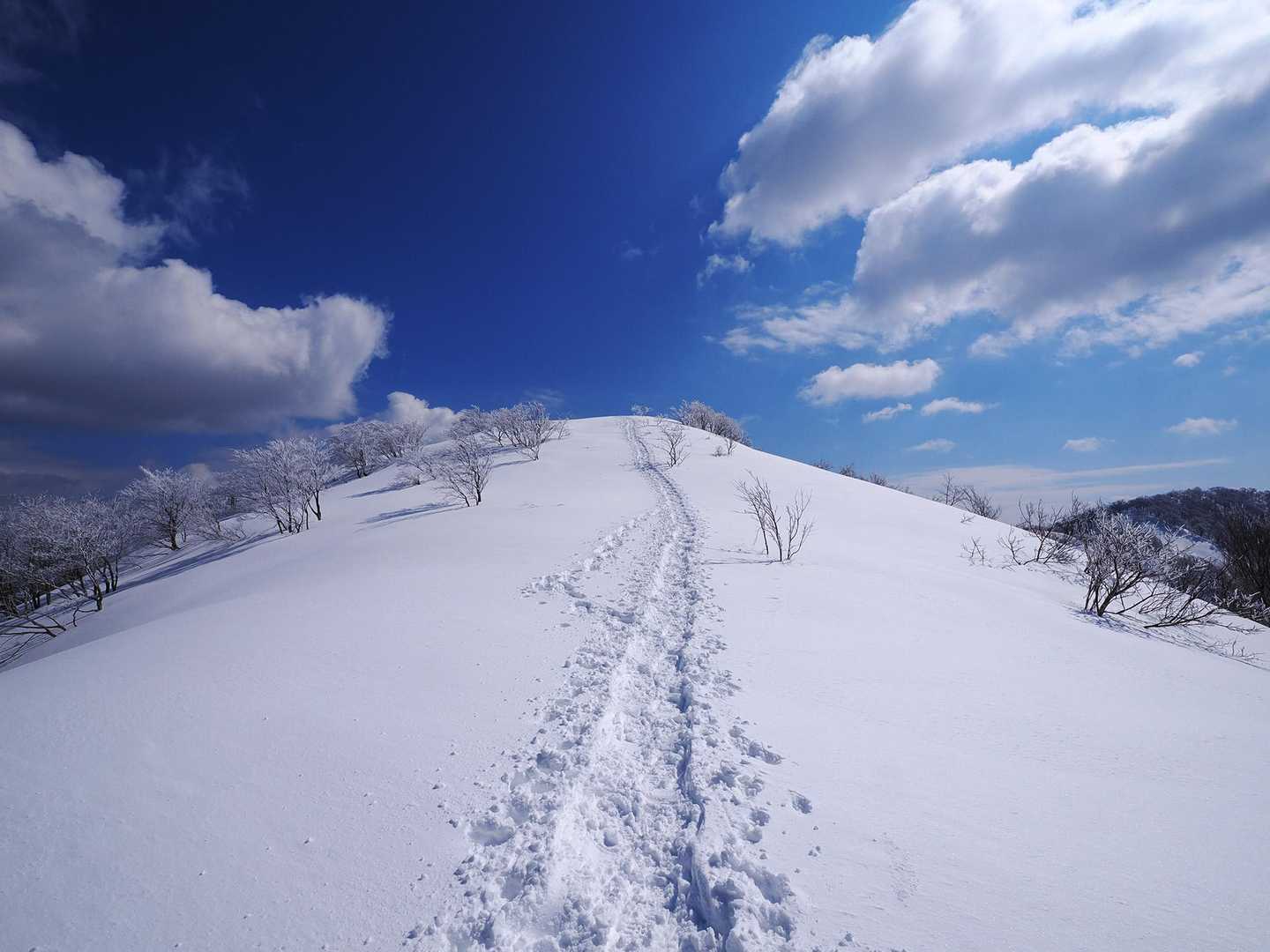 白兀山へのビクトリーロード。
