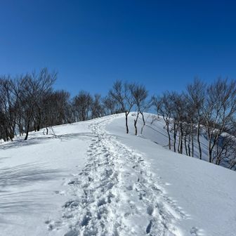 頂上台地、あそこが山頂
