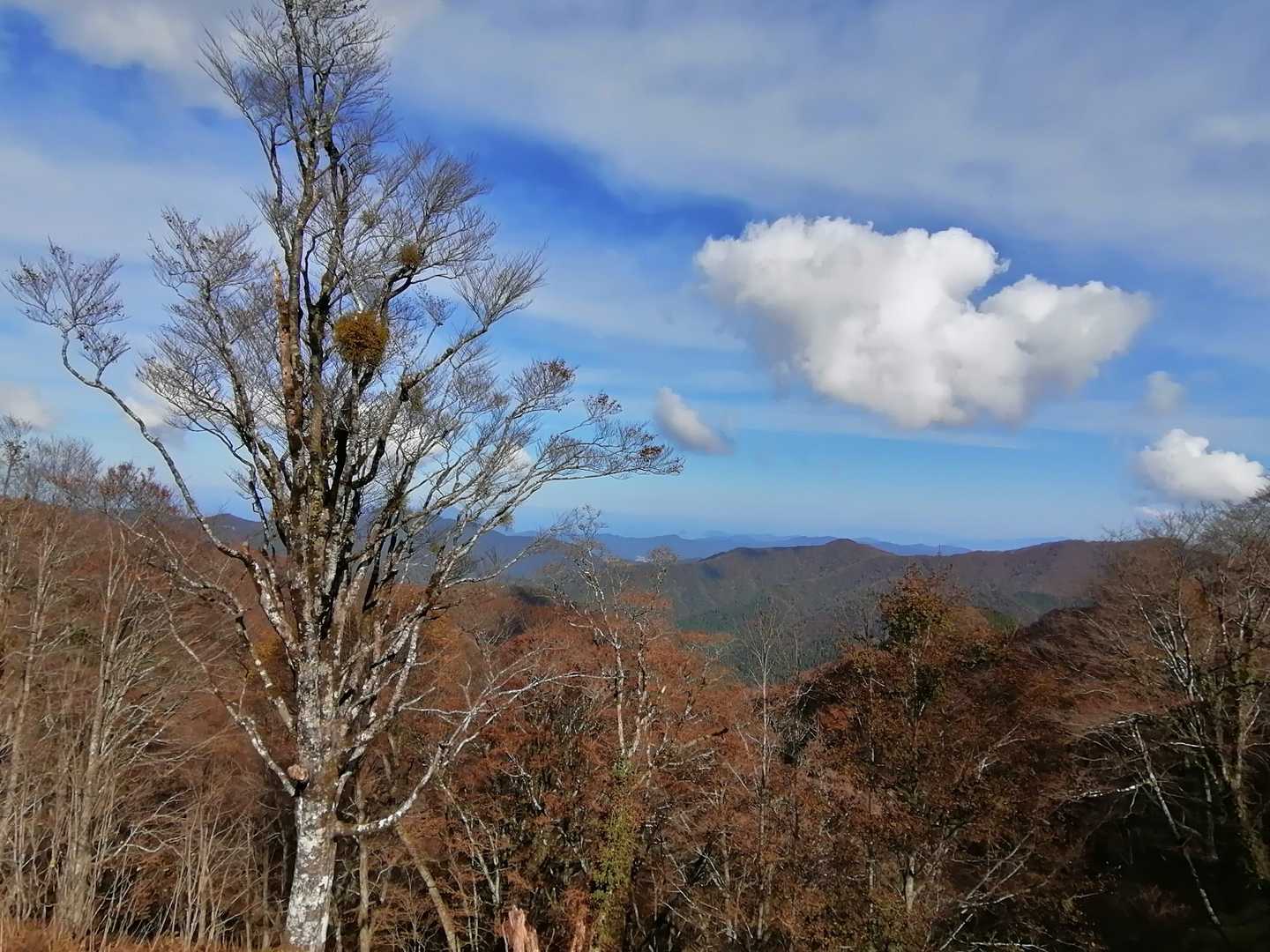 快晴☀
雲海も見れたし紅葉も楽しめたし、満足😆