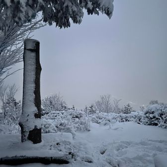 鳩吹山🙌
真っ白で何も見えない