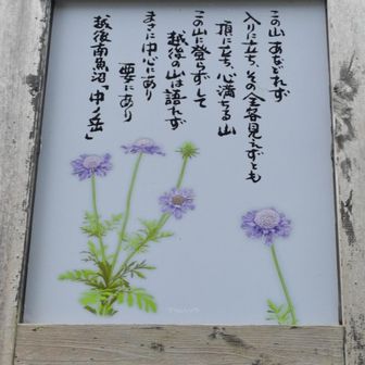 下山。
この山あなどれず、
おっしゃる通りです。
越後三山制覇(^^)