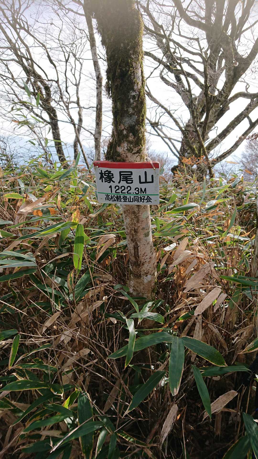 この先は、止めときます
少し早いですが、引き返します
知ってるんです
スズ竹の藪が、待っているから(;o;)