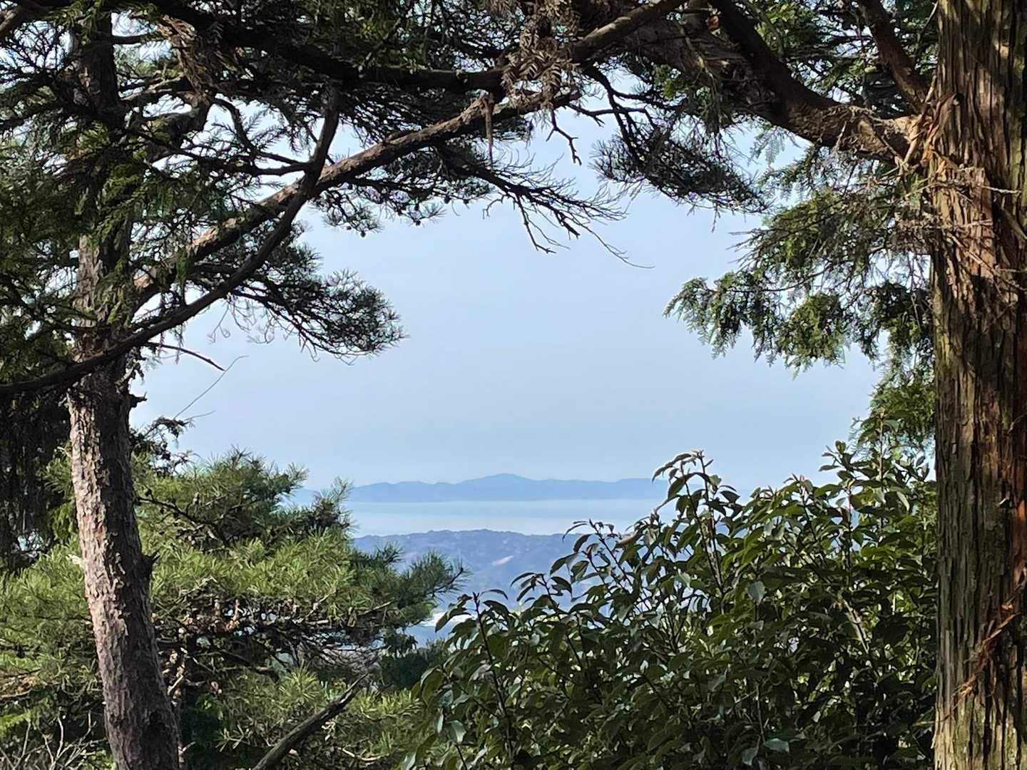 三河湾がひょっこり👌