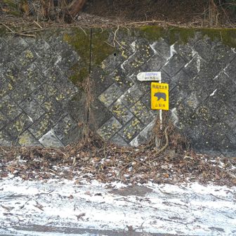 ロスタイム後
改札出て右に上がっていってＴ字路
右が庭洞山、山と高原地図ガイドよろしく左選択