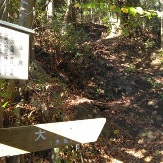 男坂
ここで女坂を選んでいれば、ピークを逃していなかった、、、