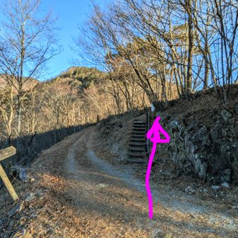 右の階段から登っていきます