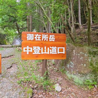 ついにこの日が😍