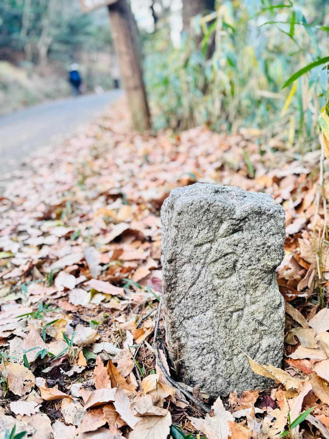 道標