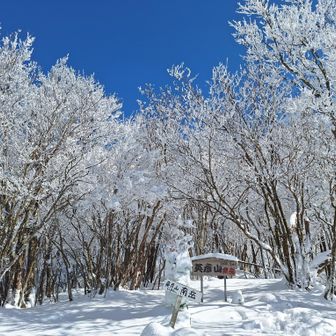 再び南岳山頂。
名残惜しい景色を見納めて、中岳に戻る。