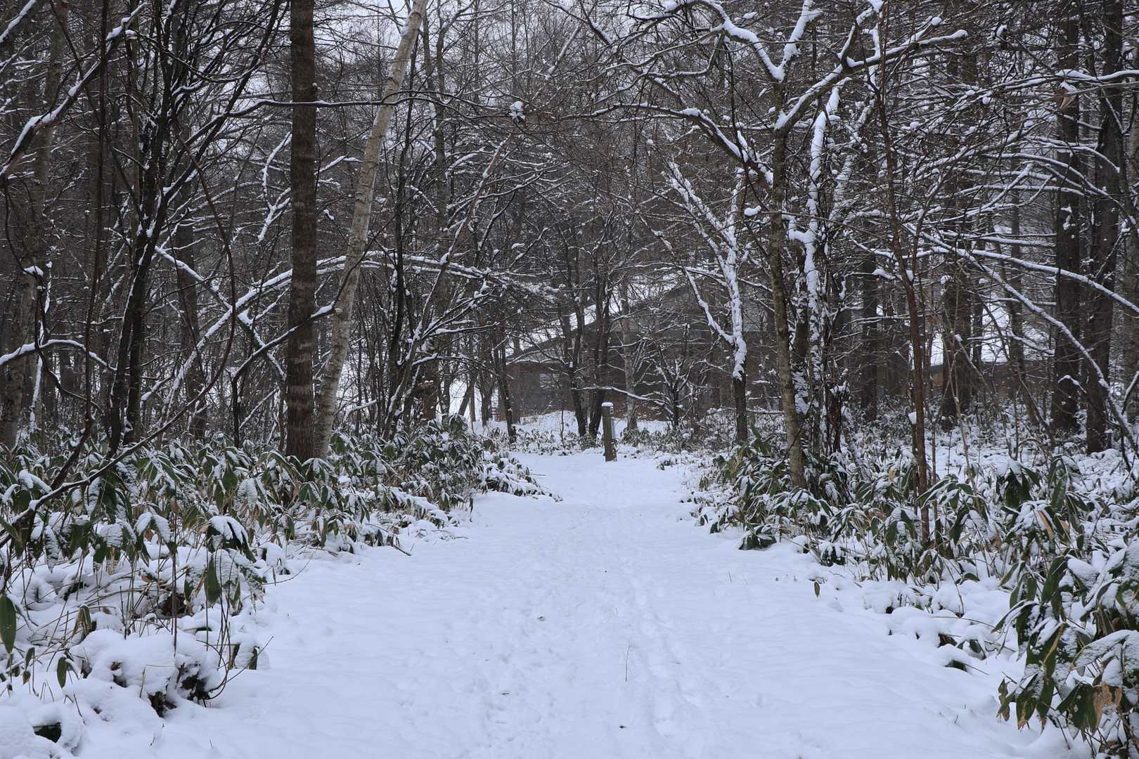 下山しました
