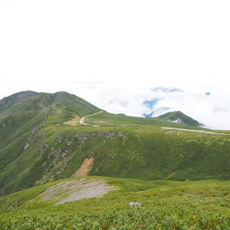 一瞬見えた穂高連峰も槍の穂先も全て雲に飲み込まれた。。