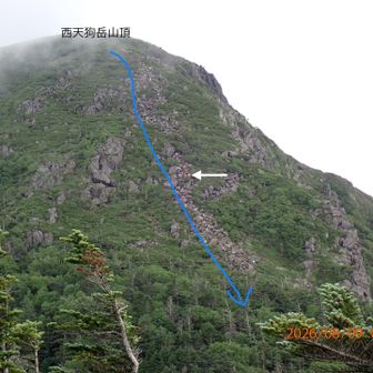 先程下った西天狗岳山頂からの長く急な岩場😱💦下りを第二展望台から見返した所
白矢印は登山者