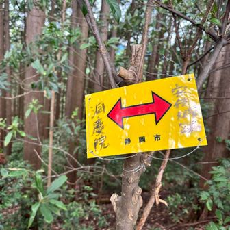 静岡市らしい黄色の看板🟡
