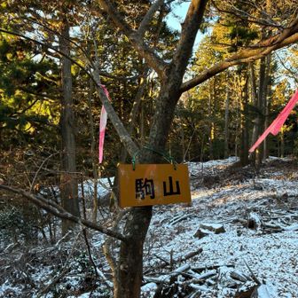 愛知130 96座目　駒山
同行者さんの自作の名板を取り付け。