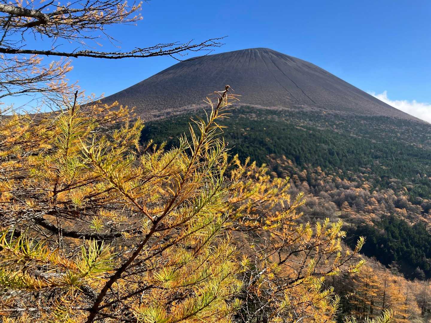 草すべりの途中から見えた唯一紅葉に映える浅間山⛰️噴火警戒レベルは2。前掛山へは行けないので火山館で早めのランチ休憩後、まっすぐJバンドに向かいます。