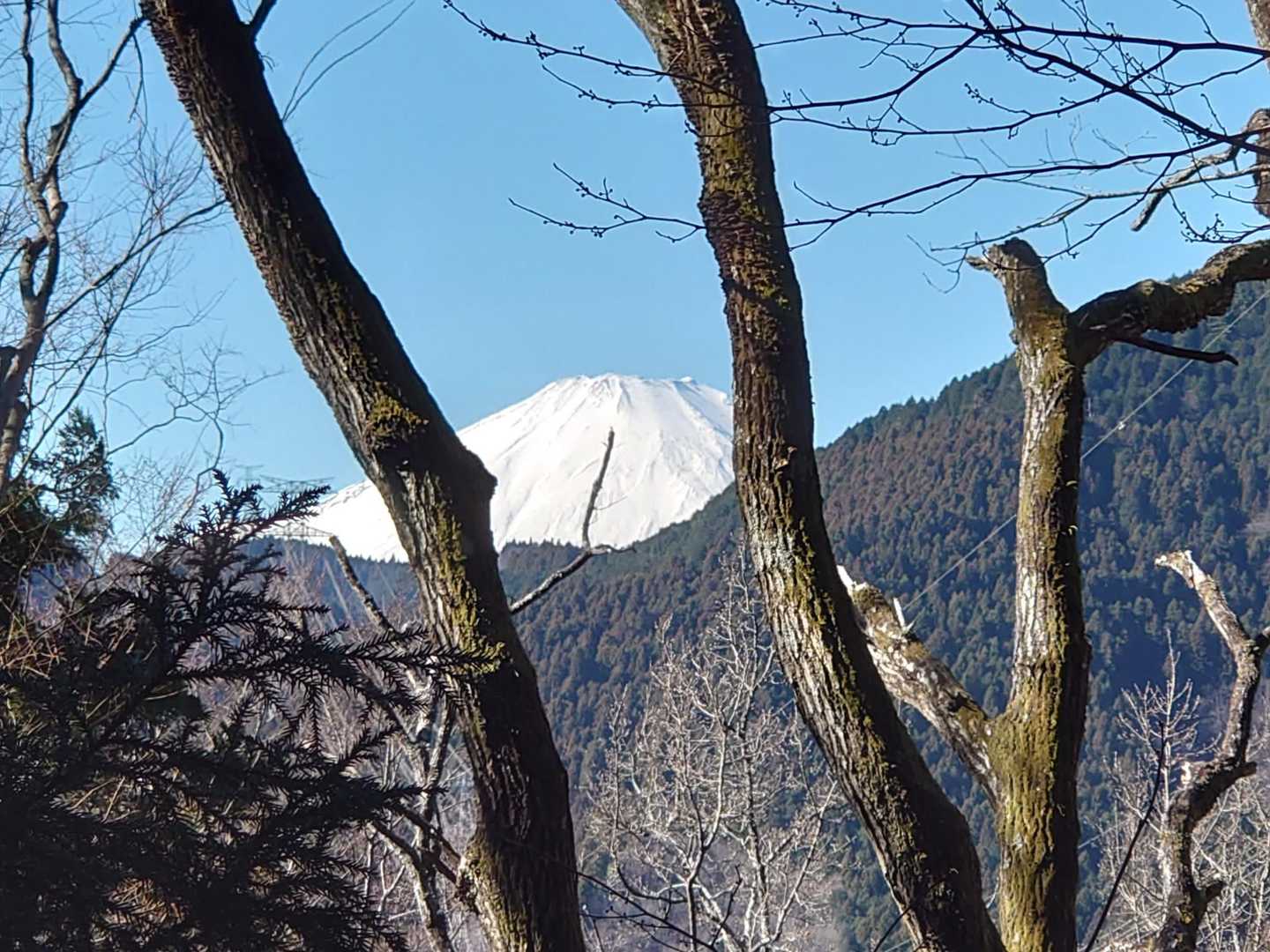ちょっと登ると、富士山が見えました👀

こんな天気🌞のよい日は
やっぱり富士山みたいですよね🙂