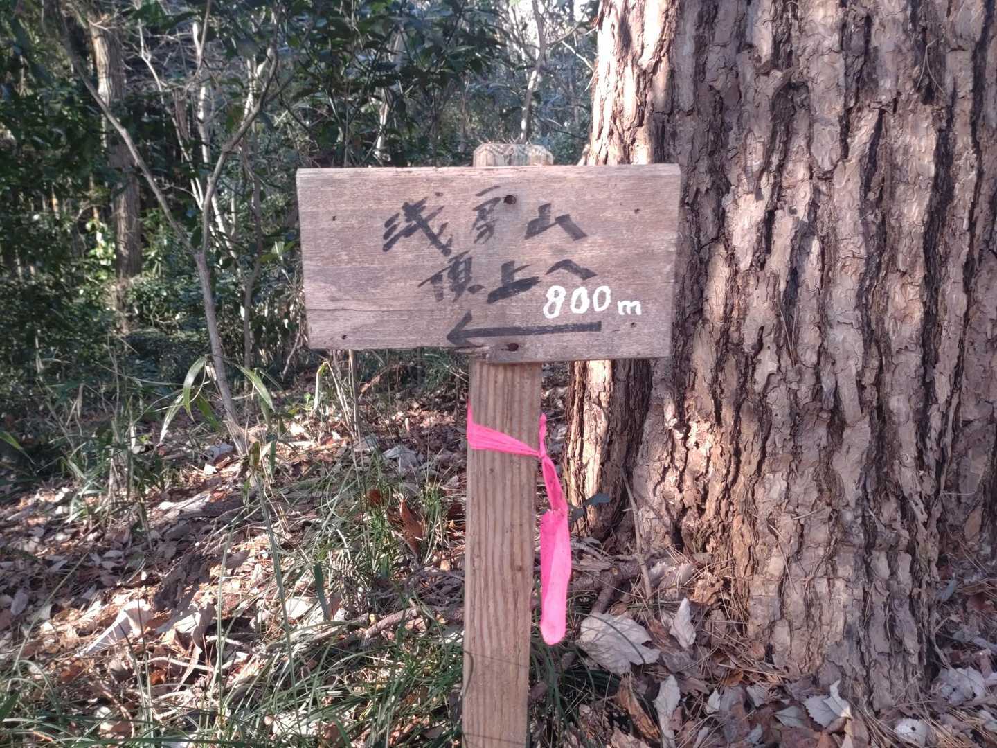 あと800mで山頂です🤣