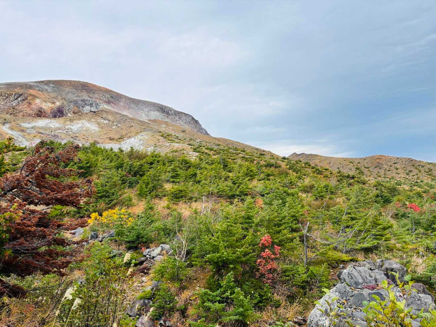 あいにくの曇り空ですが多くの登山客で賑わっていました！