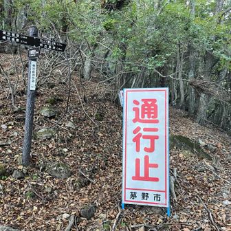ここが通れれば御射鹿池まで近いのだが。