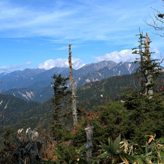 摺古木山まで帰って来ました。
雲増えちゃったけど中央アルプスまだまだ見えた☺️