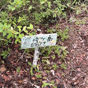 袴岳⛰️山頂🚩に到着しました😀
標高816m❗️