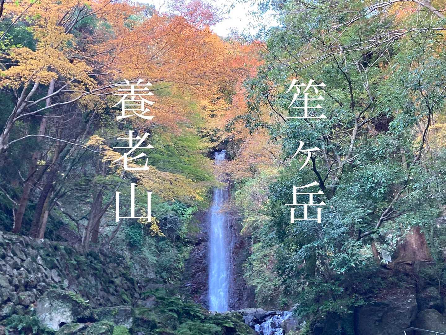 居酒屋「養老の滝」って全国チェーン？