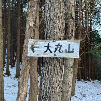 戻って大丸山に向かいます