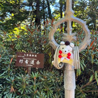 相棒も登頂😄
なんか吊り輪みたい🤭

下から見えてた崖のとこへ行きたいぞ